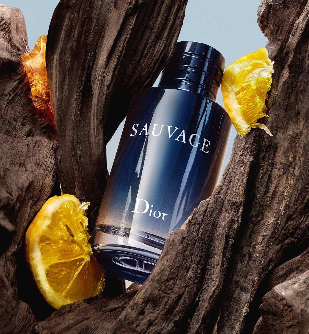 Dior Sauvage Edp 100 Ml